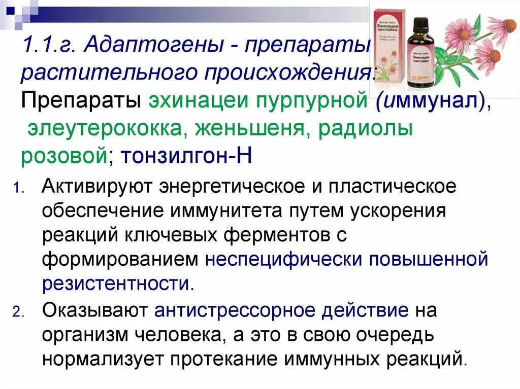 Растительные средства препараты. Адаптогенные препараты растительного происхождения. Адаптогены. Растения адаптогены. Иммуностимулирующие препараты растительные.