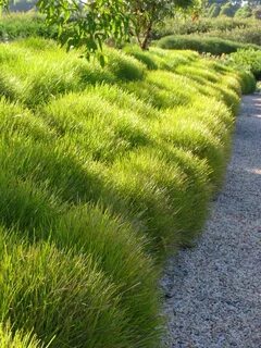 Plants plus