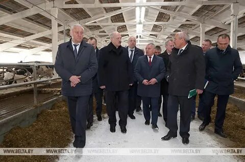 Лукашенко на ферме