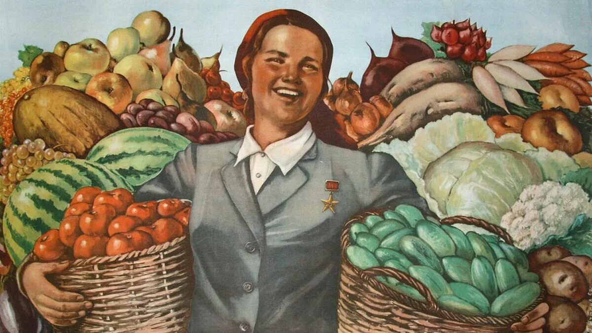плакаты ссср про урожай. посадка винограда террасирование. я ожидаю не только высоких урожаев. овощи на грядке. я ожидаю не только высоких урожаев.