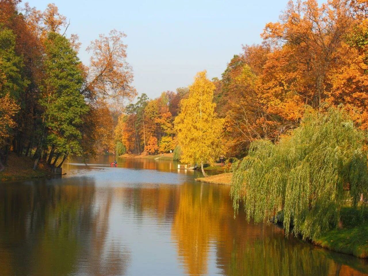 Осенний дон воронеж. Набережная воронеж осенью. Золотая осень воронеж. Золотая осень воронеж. Парк динамо золотая осень воронеж.