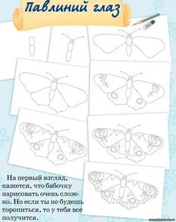 Нарисовать бабочку по номерам