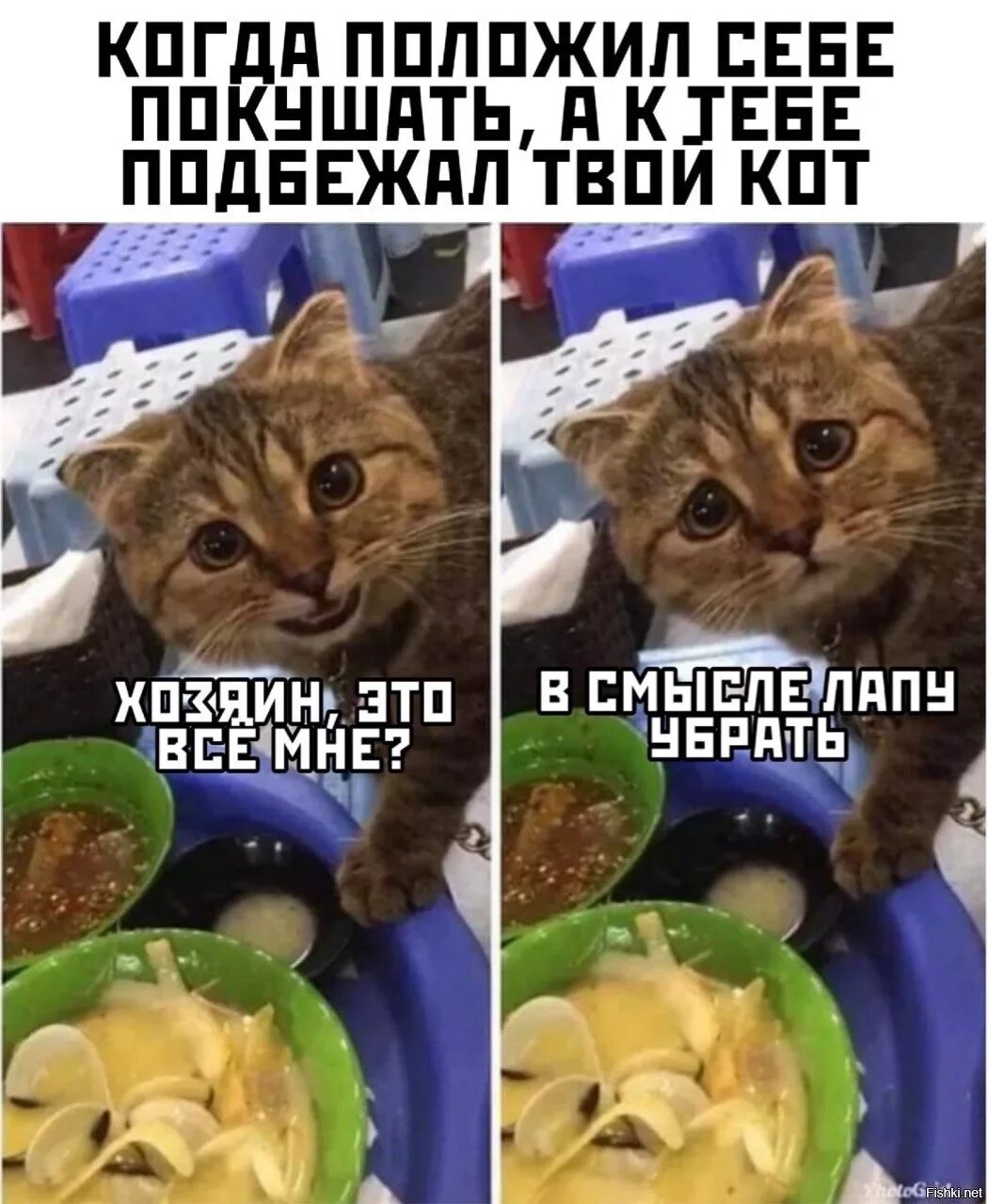 Дай на еду текст. Приколы с котами и едой. Мемы с котами и едой. Кот и еда. Коты еда мемы.