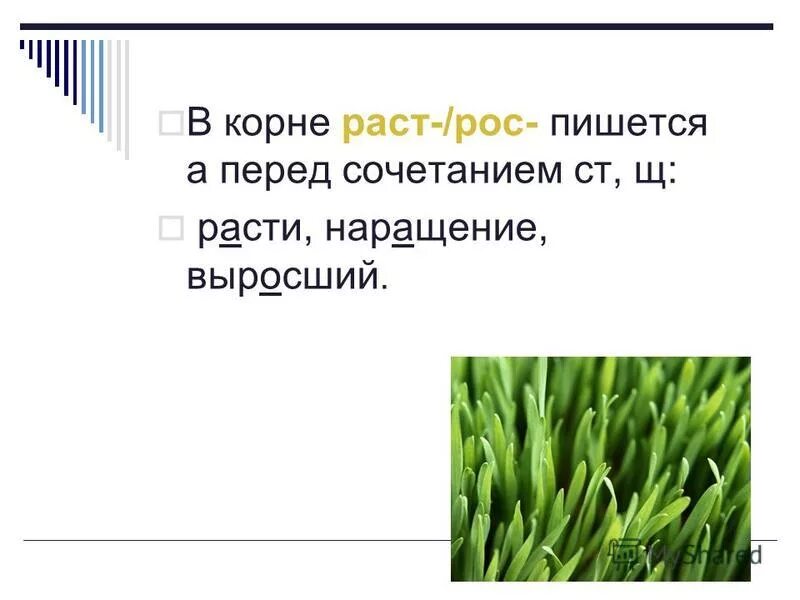 частица не с наречиями. по нарастающей как пишется. написание слова не было. ни или не как писать. слитное и раздельное написание частиц не и ни.