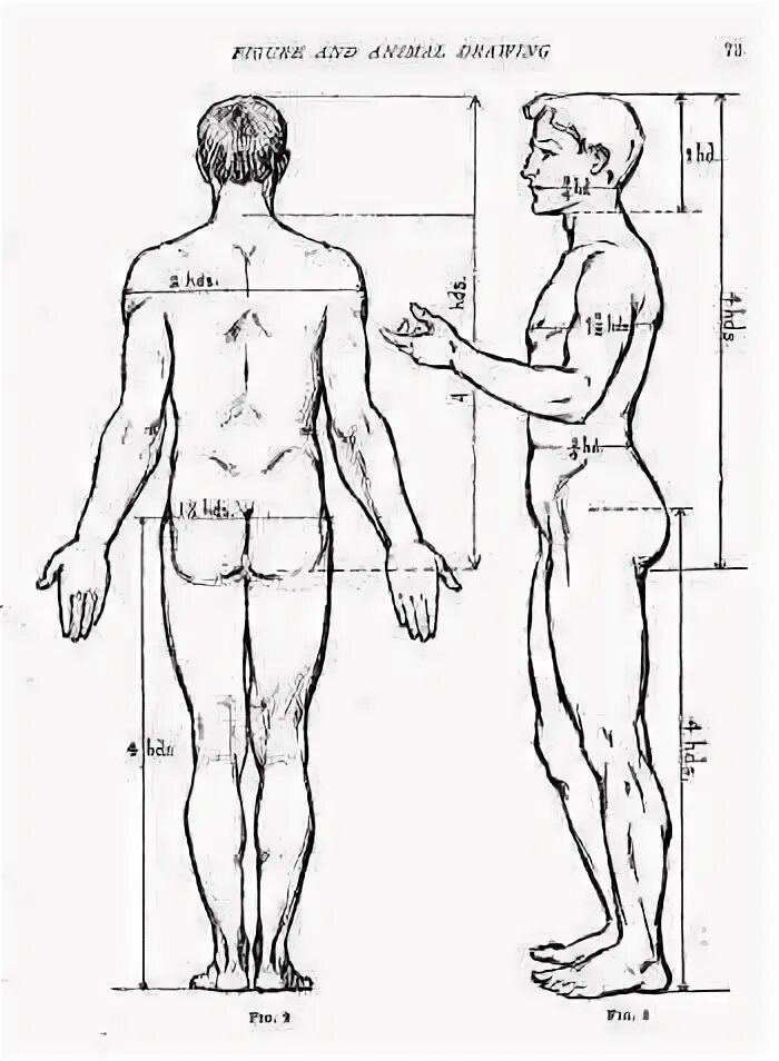 Get things out of proportion. Постер во весь рост человека. human proportions. human body proportions. basic body proportions.