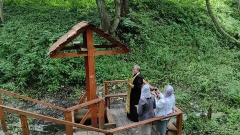 Видели в лесу родник с оранжевыми