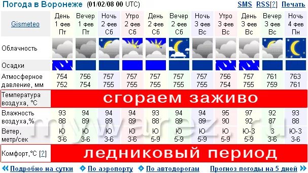 Гисметео борисоглебск на 10 дней воронежской области. Погода в Воронеже. Погода в Воронеже на неделю. Омода Воронеж. Климат Воронежа.