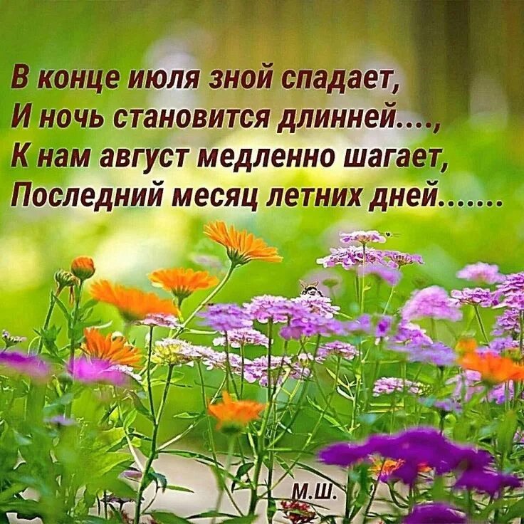 Цитаты лету. Цитаты о лете. стих июль. последний день июля стихи. июль цитаты.