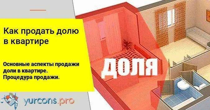 Продать долю в квартире. Как продать долю. Квартира по долям. Равные доли в приватизированной квартире