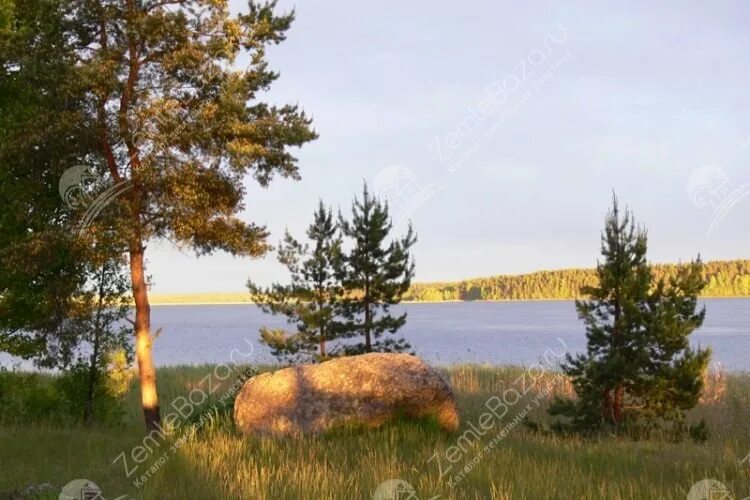 Сердце вуоксы поселок. Поселок барышево вуокса. сердце вуоксы коттеджный поселок. вуокса плюс. снт вуокса плюс.