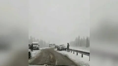 Белая зима вышла и метет началась внезапно