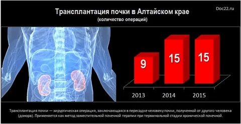 Сколько донорская почка