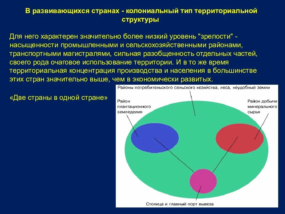 Территориальная структура развитых стран. Колониальный Тип структуры. Колониальный Тип территориальной структуры. Колониальный Тип структуры хозяйства.