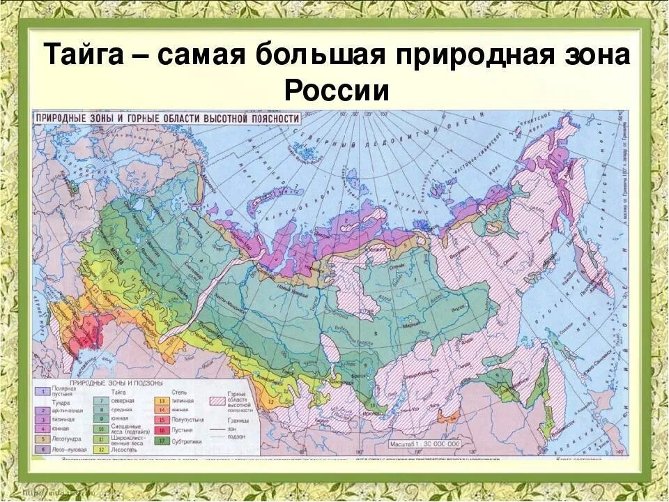 Карта природных зон России широколиственные леса. Зона тайги на карте России. Тайга на карте России природных зон.