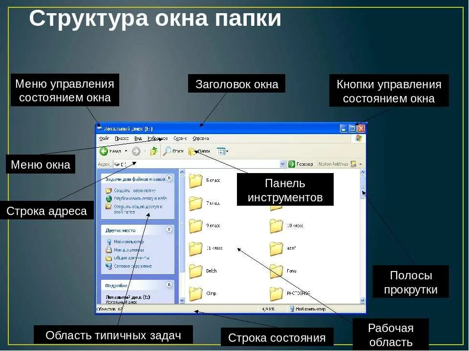 Окно папки. Название элементов окна папки. Структура окна Windows. Структура окна папки. Элементы управления имеют