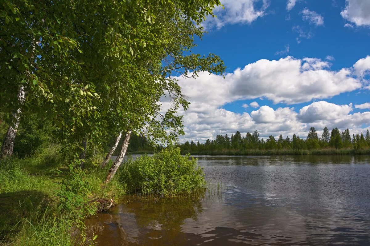 Толкунова где ты появился на свет. Родной край. Песня о родном крае. В. Толкунова песня о родном крае.