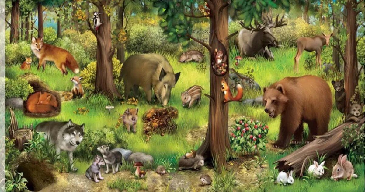 Лесные жители. В гостях у лесных жителей. Собрание зверей в лесу. В гостях у лесных жителей. Жители леса.