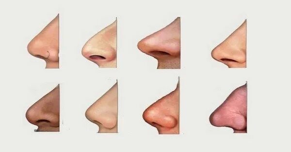 Nasal Allergies - Brigham and Women’s Faulkner Hospital