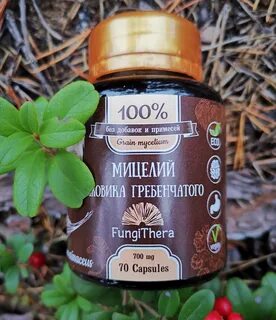 Экстракт ежевика гребенчатого