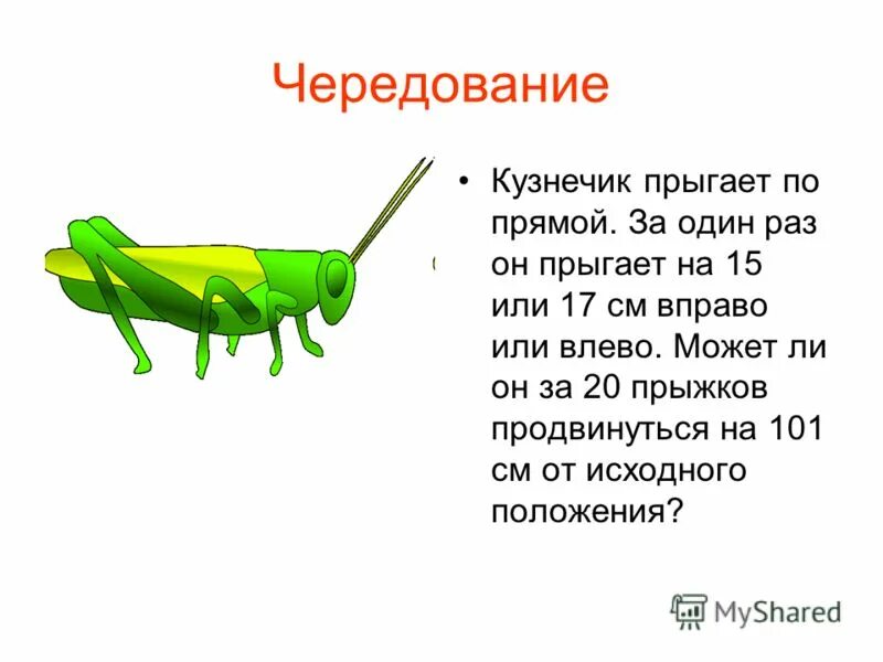 Прыгни 5 раз