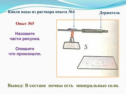Как доказать что в почве есть соли
