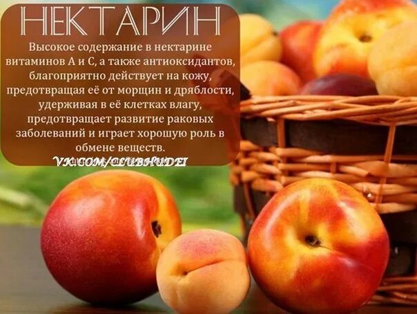 Нектарин калорийность. Витамины в персике. Нектарин витамины. Чем полезен нектарин. Витамины содержащиеся в нектарине.