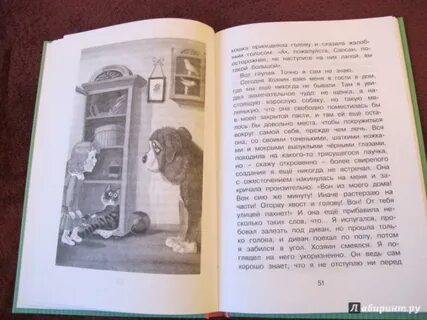 Белый пудель сколько страниц
