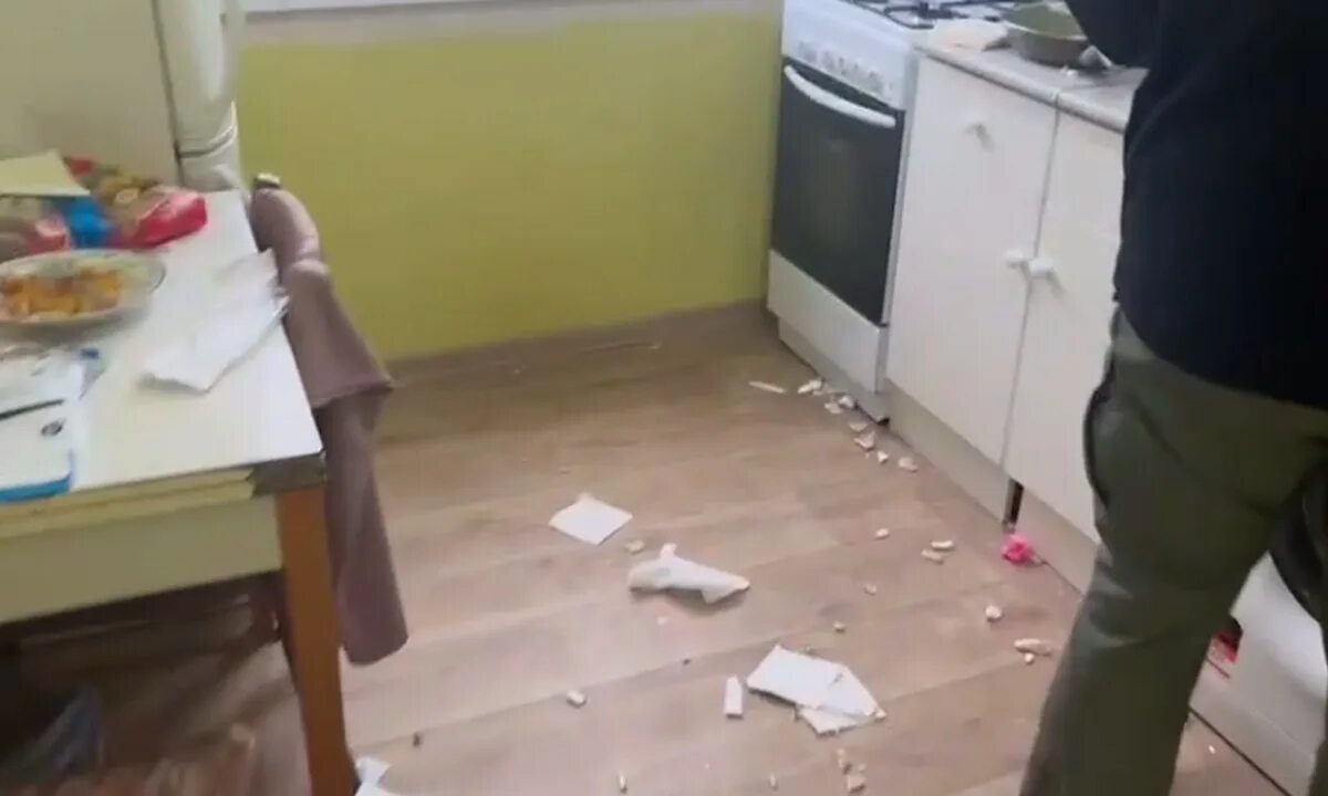 Мать выбросила дочь с 11 этажа. Выбросила из окна двоих детей. Выбросилась из окна с детьми. В москве мать выбросила ребенка с 11 этажа. Отец выбросил девочку из окна.