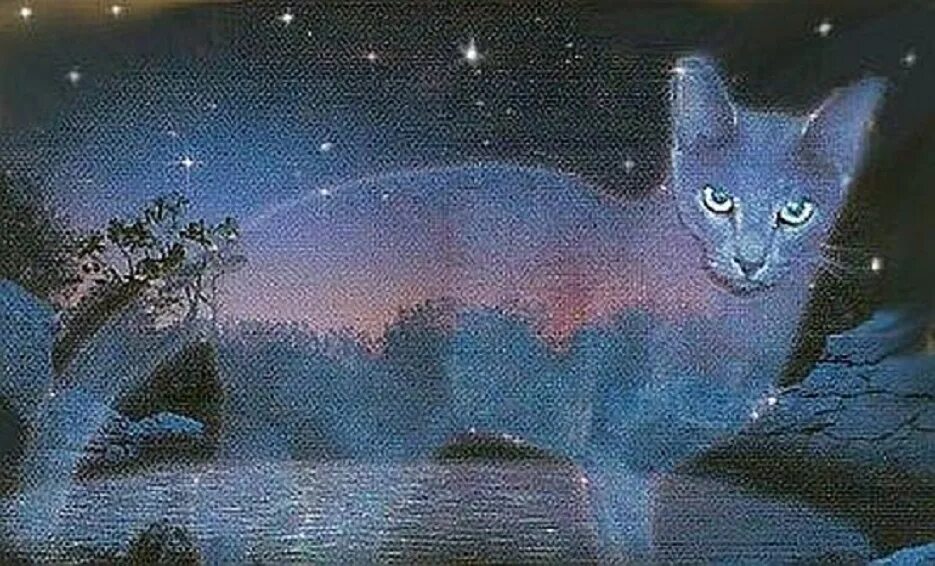 Звездный кот. Коты воители коты звёздного племени. Звёздное племя. Звёздное племя. Коты воители звёздное племя.