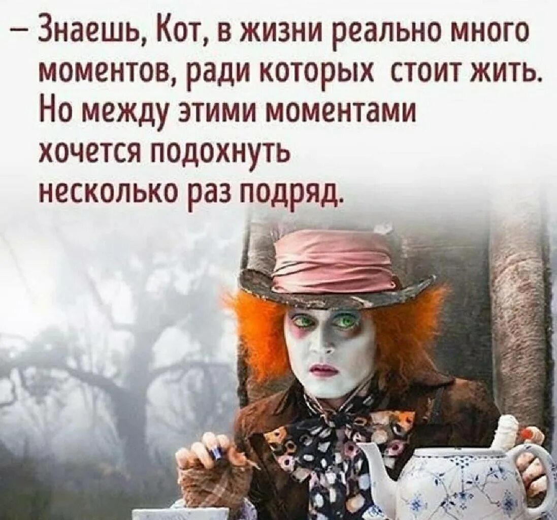Ради таких моментов стоит. Знаешь кот в жизни. знаешь кот в жизни реально много. знаешь кот в жизни много моментов. знаешь кот цитата.