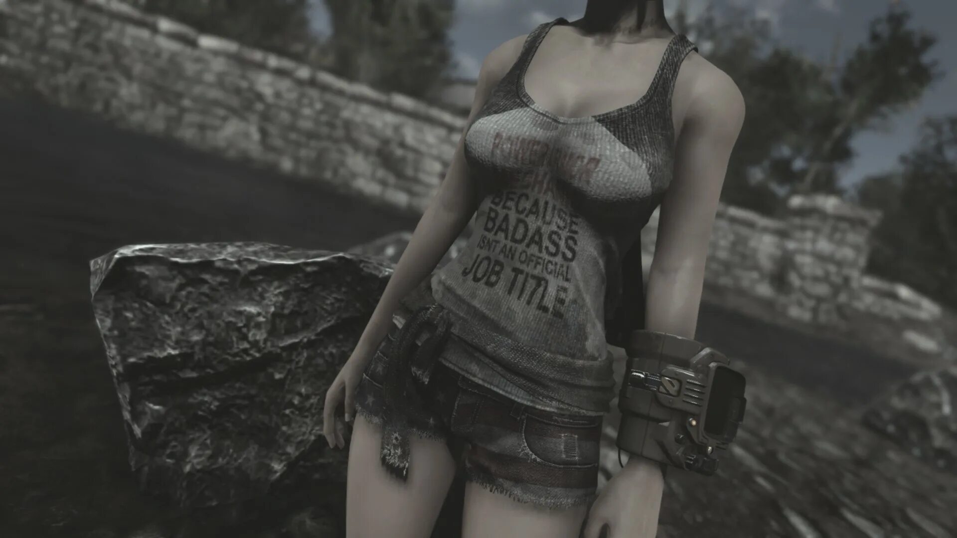 Cbbe physics. Fallout 4 мод unp. fallout 4 cbbe bodyslide. фоллаут 3 cbbe тела. фоллаут bodyslide.