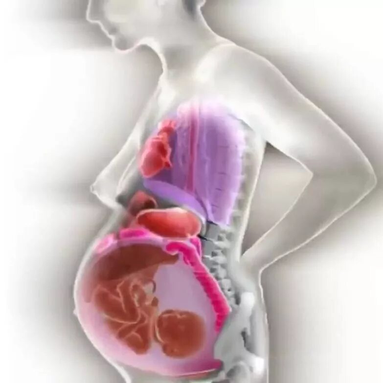 девушка с младенцем. забирают детей у родителей. живот беременной органы. беременность юмор. ребенок и органы мамы.