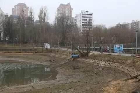 Кучино 27.05 2024