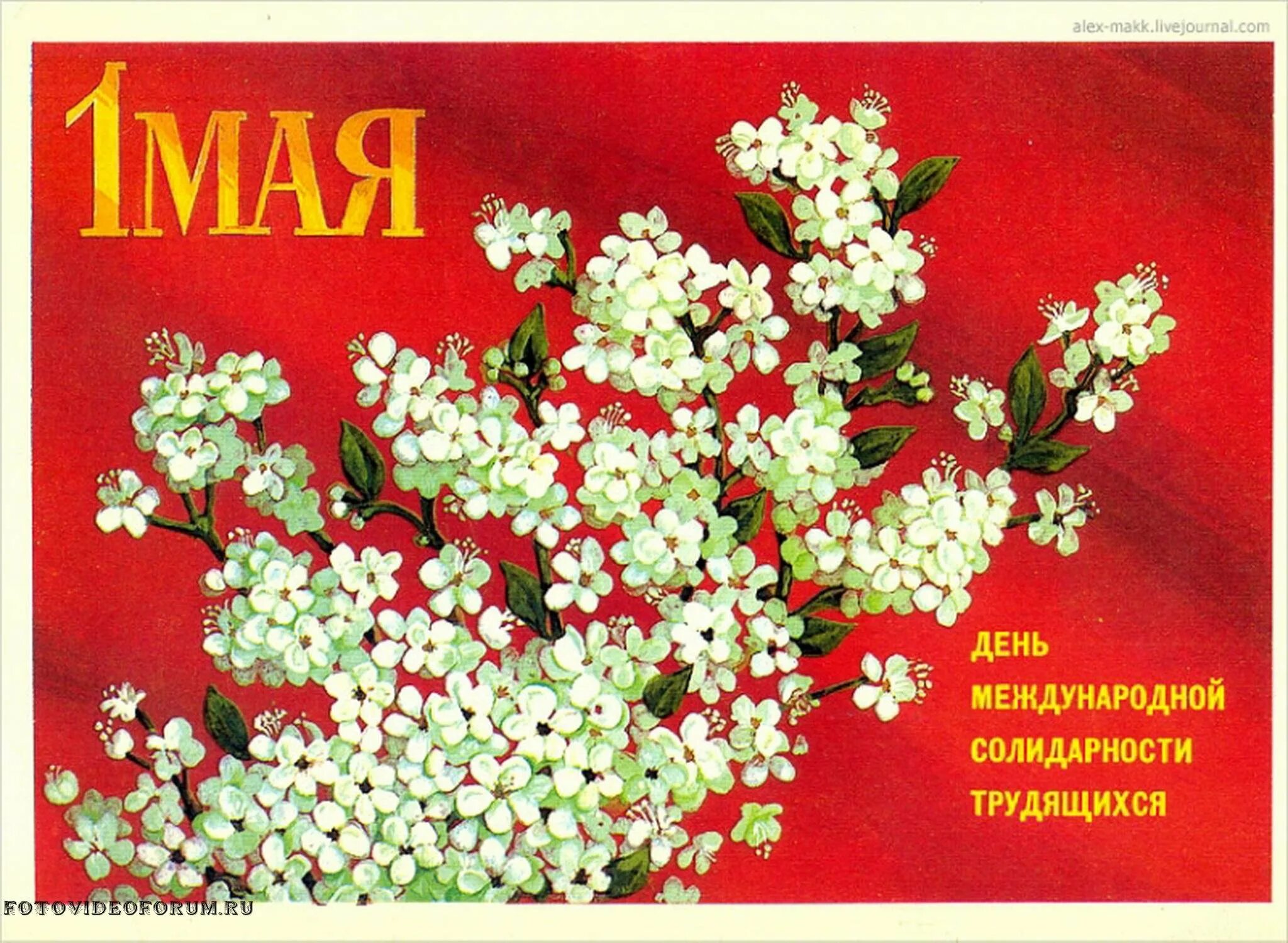С днем международной солидарности трудящихся 1. День международной солидарности трудящихся. открытки с 1 мая. день международной солидарности трудящихся 1 мая открытки. поздравление с днём международной солидарности трудящихся.