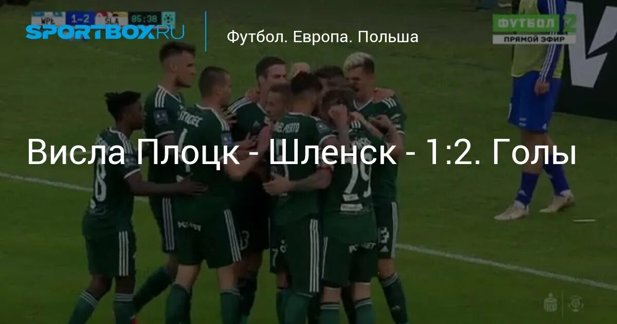 Нецеча висла плоцк. Нецеча висла плоцк
