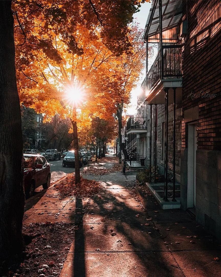 Осень без людей. Осенний город. Улица осень. Осень в городе. Улица осенью.