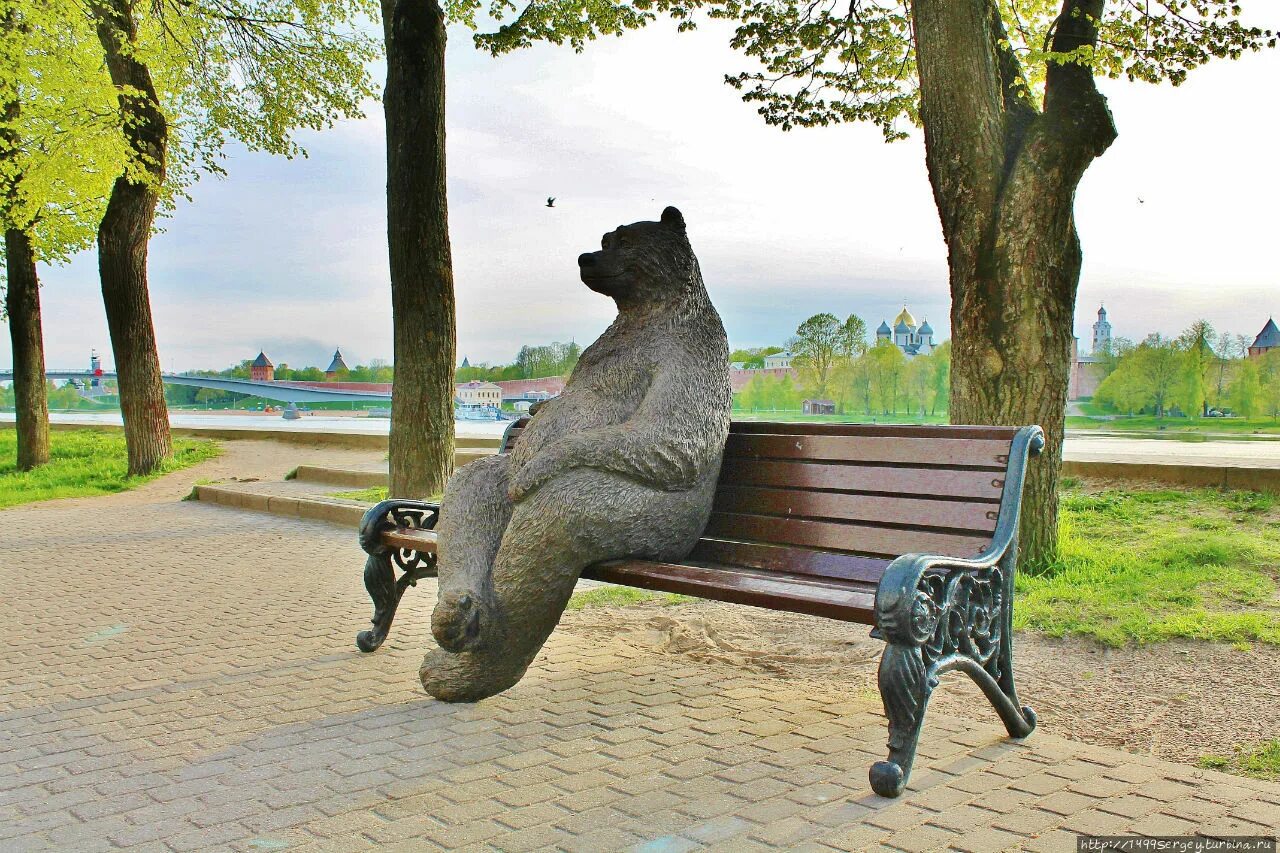 Вологда погулять. Памятник медведь Великий Новгород. Великий Новгород медведь на скамейке. Великий Новгород памятник медведь на скамейке. Медведь на лавочке Великий Новгород.
