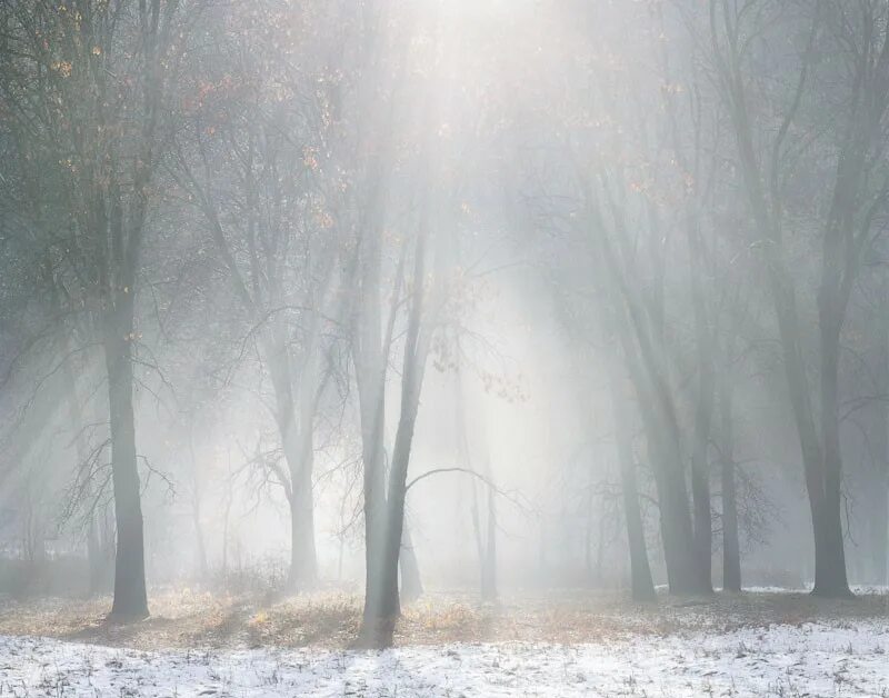Зимняя буря. Туман на льду. Снежная мгла. Снежная мгла. Мгла зимой.