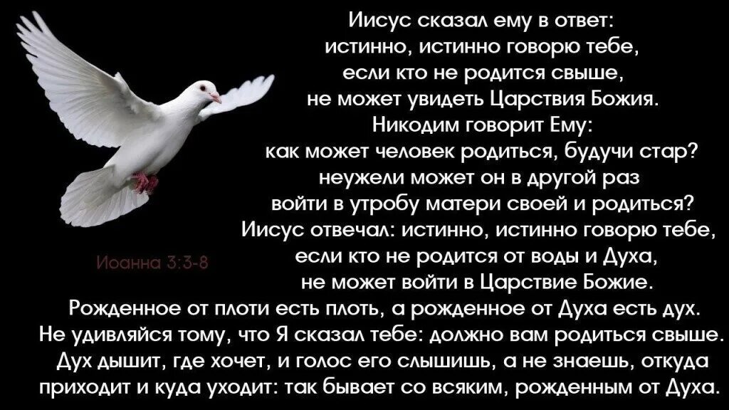 Иисус сказал истинно истинно