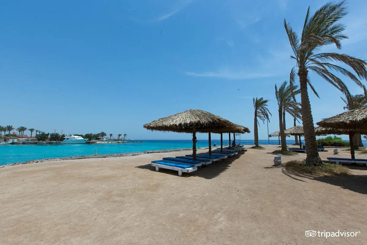 Regina resort & aqua park. Реджина резорт хургада. Отель реджина хургада хургада египет. Regina beach. Zya regina resort and aqua.