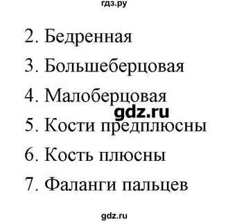 Упражнение 102 9 класс