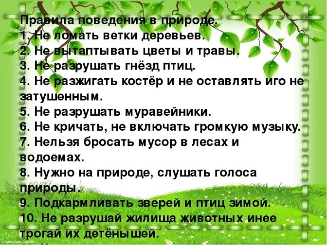 Правила разумного поведения человека в природе. Правилаповеденияявприроде. Правила поведения на природе. Памятка правила поведения на природе. Памятка о природе.