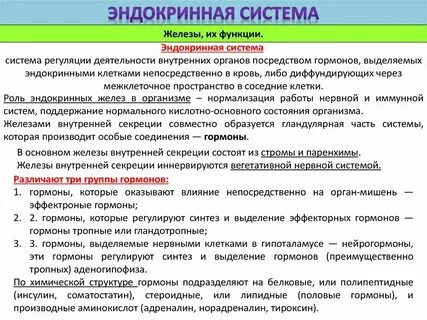 Работа эндокринной системы и ее нарушения