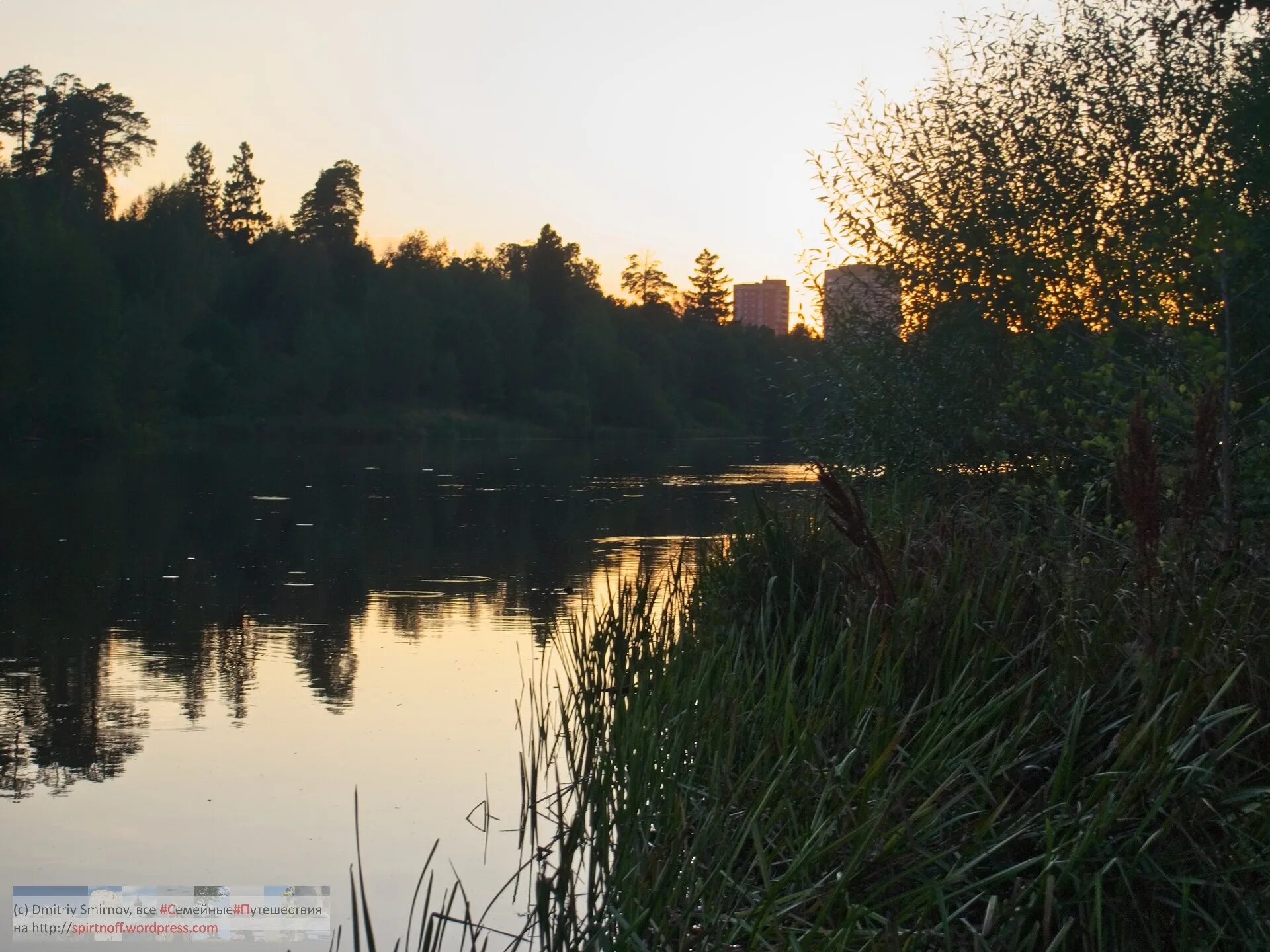 Барские пруды фрязино пляж. Гребнево барские пруды. Барские пруды. Барские пруды. Барские пруды фрязино.