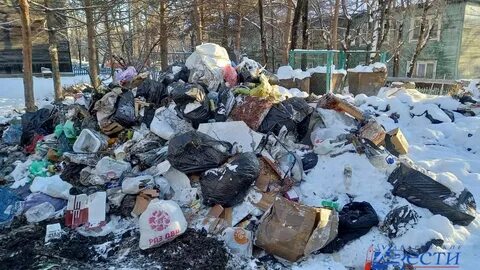 Сысерть референдум