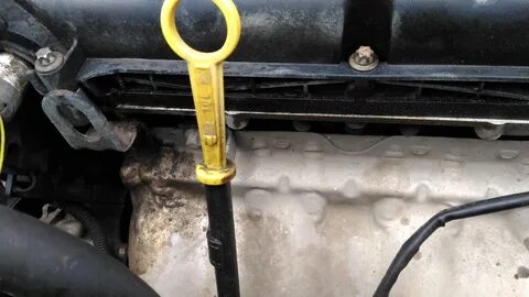 Давит масло из под