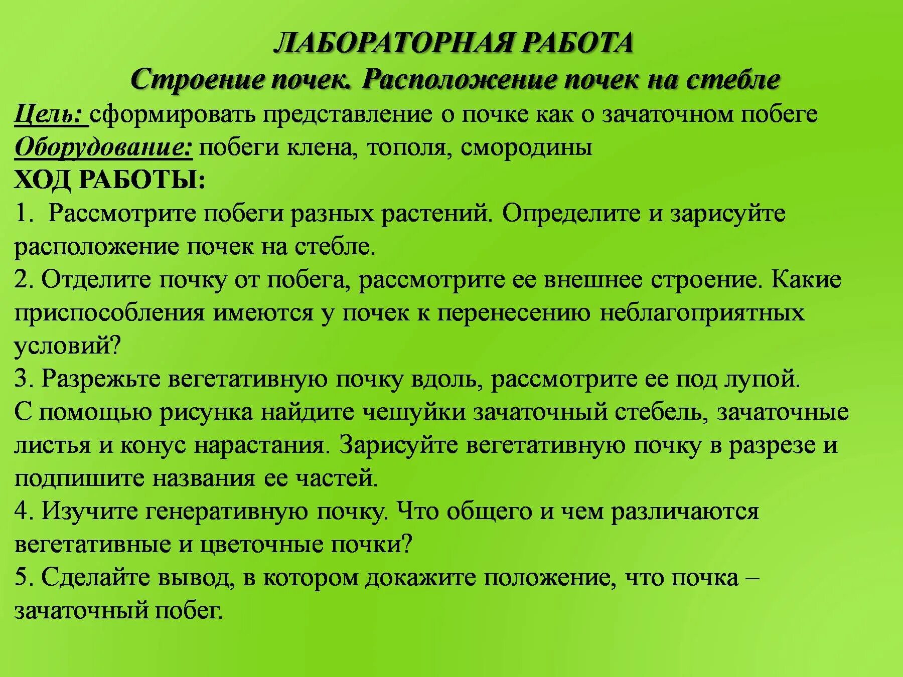 Лабораторная работа по биологии определение местоположения почек