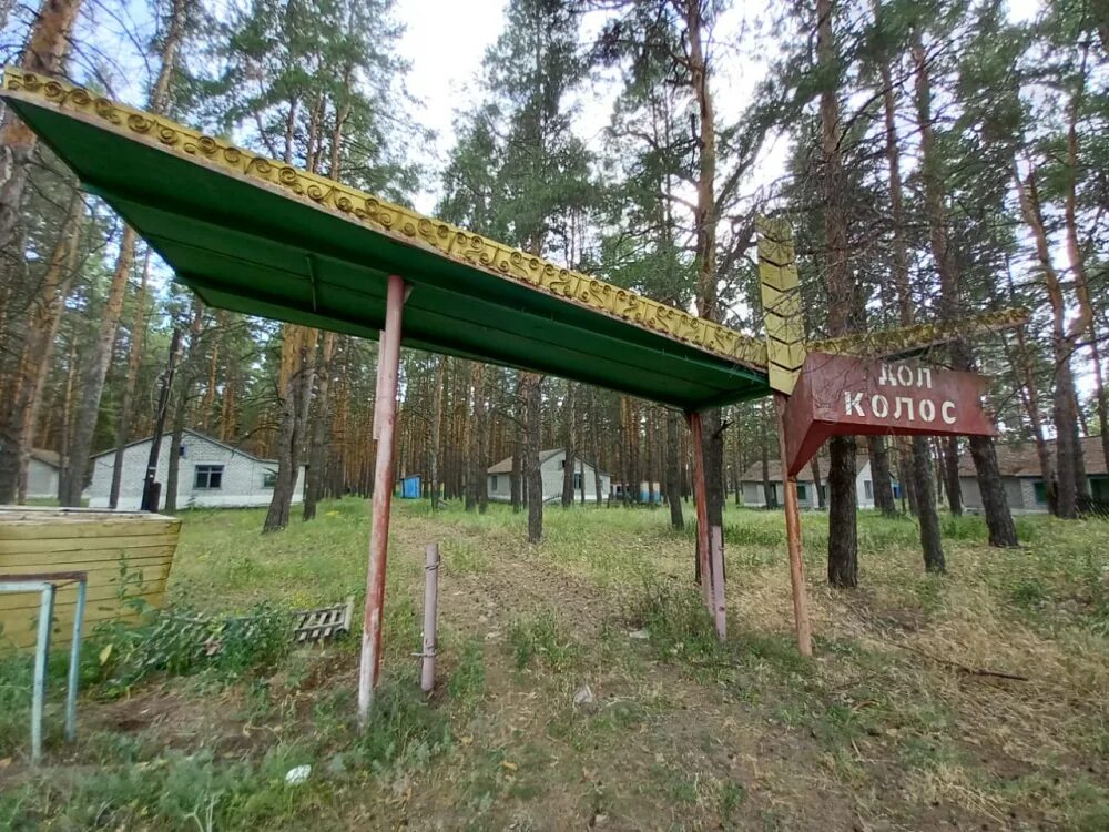 Колосок обычный. Золотой колос шахты. Колос волгоград. Колос волгоград. Колос.