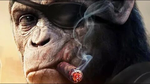 Age of apes