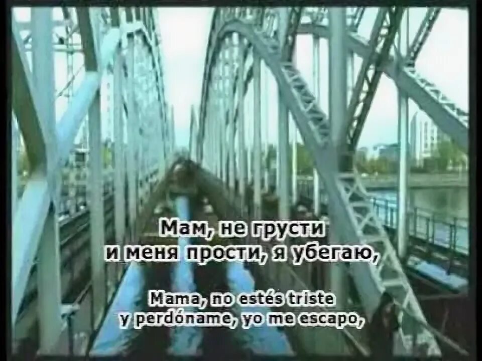 И я убегаю от тебя прости. Акула я убегаю. акула мама не грусти. акула мама не грусти и меня прости я убегаю.